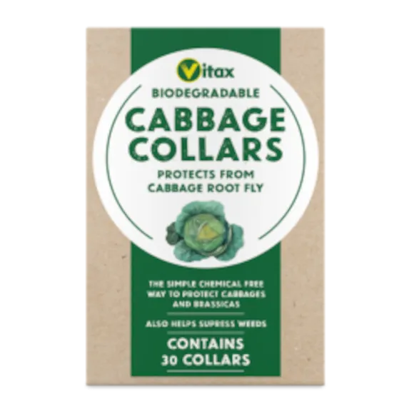 Cabbage Collars (Biodegradable) Pack Of 30